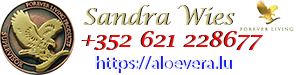 Sandra Wies Logo